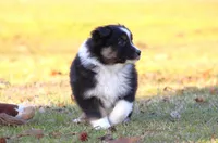 processed/1eac7662-c4c5-4c38-bf73-b9d98dd67bab/listing/905232bf-ddfa-4ffd-add1-44a5ea81bd74/b5dc9655-4cd4-4671-80b7-bfd6ec119505