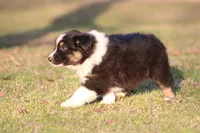 processed/1eac7662-c4c5-4c38-bf73-b9d98dd67bab/listing/905232bf-ddfa-4ffd-add1-44a5ea81bd74/bfadd7f4-299f-4066-99d3-d7c7c636b7bd