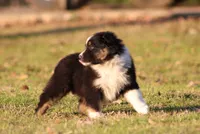 processed/1eac7662-c4c5-4c38-bf73-b9d98dd67bab/listing/905232bf-ddfa-4ffd-add1-44a5ea81bd74/ea284cfc-65ac-41c2-bf3c-56e50ac0a4f3