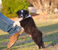 processed/1eac7662-c4c5-4c38-bf73-b9d98dd67bab/listing/905232bf-ddfa-4ffd-add1-44a5ea81bd74/ed8c9a26-2800-4a8a-9975-09af195e2eba