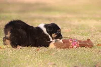 processed/1eac7662-c4c5-4c38-bf73-b9d98dd67bab/listing/905232bf-ddfa-4ffd-add1-44a5ea81bd74/f7538718-c170-4459-864f-851149d21d85