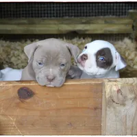 processed/1ead05c7-4de4-49a5-9d8b-5424b8fc7b04/facility/01dd6f68-a012-4449-8777-c2811fadb5e6