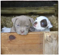 processed/1ead05c7-4de4-49a5-9d8b-5424b8fc7b04/facility/01dd6f68-a012-4449-8777-c2811fadb5e6