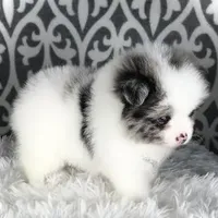 processed/1ead05c7-4de4-49a5-9d8b-5424b8fc7b04/facility/96b5b7c1-fb75-43d4-b008-5bb14b620b01