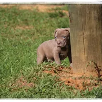 processed/1ead05c7-4de4-49a5-9d8b-5424b8fc7b04/facility/cf0766f6-60a3-4c88-919f-d4284eb520e9