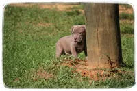 processed/1ead05c7-4de4-49a5-9d8b-5424b8fc7b04/facility/cf0766f6-60a3-4c88-919f-d4284eb520e9