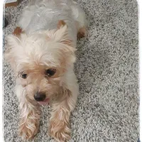 processed/1ead05c7-4de4-49a5-9d8b-5424b8fc7b04/facility/e25a5ff5-800a-4da5-9d14-1287cc2126e8