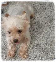 processed/1ead05c7-4de4-49a5-9d8b-5424b8fc7b04/facility/e25a5ff5-800a-4da5-9d14-1287cc2126e8