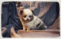 processed/1ead05c7-4de4-49a5-9d8b-5424b8fc7b04/listing/07c9fbc5-d513-440a-aefe-e0afc9072868/a7f3c73b-85f2-4e73-b13d-028292255a73