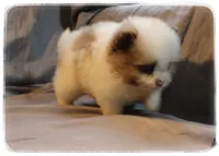 processed/1ead05c7-4de4-49a5-9d8b-5424b8fc7b04/listing/07c9fbc5-d513-440a-aefe-e0afc9072868/ae293932-3e78-4f72-9b48-49ec79462fa0