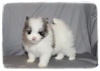 processed/1ead05c7-4de4-49a5-9d8b-5424b8fc7b04/listing/6cb98e0e-c182-4be3-9c4f-5c5a949d5c71/25a8d569-0dde-4abf-ae9e-db67bdb31da4