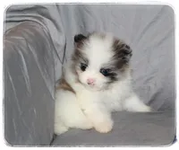 processed/1ead05c7-4de4-49a5-9d8b-5424b8fc7b04/listing/6cb98e0e-c182-4be3-9c4f-5c5a949d5c71/a6013255-a91b-4238-b329-e9a1f3cff84a