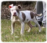 processed/1ead05c7-4de4-49a5-9d8b-5424b8fc7b04/listing/71a3e0eb-171c-43cf-b656-0539a1c0345c/0c57fa34-b47a-40e6-bf0f-034658c81c29