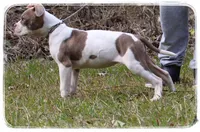 processed/1ead05c7-4de4-49a5-9d8b-5424b8fc7b04/listing/71a3e0eb-171c-43cf-b656-0539a1c0345c/937310e4-7172-44ad-b643-83b814dac268