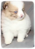 processed/1ead05c7-4de4-49a5-9d8b-5424b8fc7b04/listing/b12c6806-339d-449f-bb0e-f18a05f9b29c/7f37321d-e951-430d-83ae-bb573966ab77