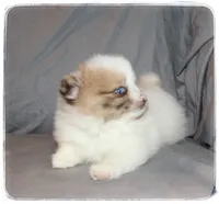 processed/1ead05c7-4de4-49a5-9d8b-5424b8fc7b04/listing/b12c6806-339d-449f-bb0e-f18a05f9b29c/aa75f5fc-53fe-44b4-89c5-3fae6dc06c26