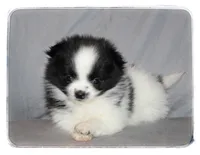 processed/1ead05c7-4de4-49a5-9d8b-5424b8fc7b04/listing/cb1e6c06-a02a-49a3-98c4-4aafa401d38c/97068882-90d6-4f48-937f-6b6ac653bdcb