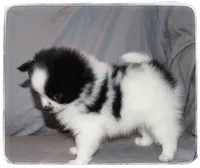 processed/1ead05c7-4de4-49a5-9d8b-5424b8fc7b04/listing/cb1e6c06-a02a-49a3-98c4-4aafa401d38c/e18daa29-11d5-4fcf-b434-984ac30e68d6