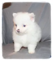 processed/1ead05c7-4de4-49a5-9d8b-5424b8fc7b04/listing/d08c38bf-8e23-45a3-acc7-38a2b9dcf2a7/bfabda77-13fa-495f-863a-a3cc5bb7636a