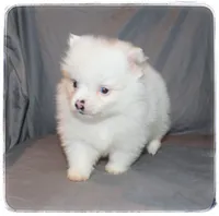 processed/1ead05c7-4de4-49a5-9d8b-5424b8fc7b04/listing/d08c38bf-8e23-45a3-acc7-38a2b9dcf2a7/ed6e3682-f8e6-4d55-a57b-5c0afcbb5d01