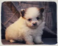 processed/1ead05c7-4de4-49a5-9d8b-5424b8fc7b04/listing/dfed3056-dc39-4b85-b4a3-c90386814dfd/e4e88ba1-dfcb-4440-b7ba-6aa116eda293