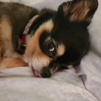 processed/1eb89d85-bf09-4195-a6d3-6eedc70a9f22/facility/0485de64-f7e1-4d44-94c7-805f4fefe4fa