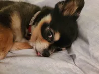 processed/1eb89d85-bf09-4195-a6d3-6eedc70a9f22/facility/0485de64-f7e1-4d44-94c7-805f4fefe4fa