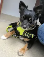 processed/1eb89d85-bf09-4195-a6d3-6eedc70a9f22/facility/19b6691e-d8ea-4b86-a42a-4b7f3b8c869a