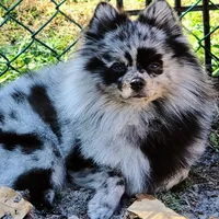 processed/1eb89d85-bf09-4195-a6d3-6eedc70a9f22/facility/2cbdf99a-463b-43ab-9baf-ade2a0189181