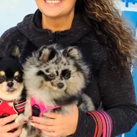 processed/1eb89d85-bf09-4195-a6d3-6eedc70a9f22/facility/4ff40d02-1015-4d54-9456-e94145a8d128