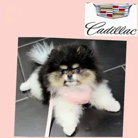 processed/1eb89d85-bf09-4195-a6d3-6eedc70a9f22/facility/5f63a89b-99ef-4a25-939e-12b35d0284f8