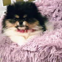 processed/1eb89d85-bf09-4195-a6d3-6eedc70a9f22/facility/75f4640a-0c63-4db5-aacb-9081d559537a