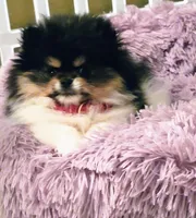 processed/1eb89d85-bf09-4195-a6d3-6eedc70a9f22/facility/75f4640a-0c63-4db5-aacb-9081d559537a