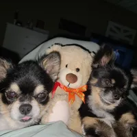 processed/1eb89d85-bf09-4195-a6d3-6eedc70a9f22/facility/a992c45d-d036-4b60-9e2c-05c101b3e531