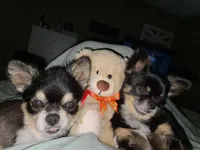 processed/1eb89d85-bf09-4195-a6d3-6eedc70a9f22/facility/a992c45d-d036-4b60-9e2c-05c101b3e531