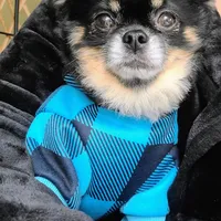 processed/1eb89d85-bf09-4195-a6d3-6eedc70a9f22/facility/bfb15d49-9a24-4286-bba8-bee827d6ba5c