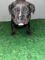 processed/1ec34ac8-1d63-4b7b-a300-9efc11d79497/listing/8aef674a-b2d3-4ea4-b414-cab626bf1b99/74189d4b-8434-4c1b-b787-161b165e6322