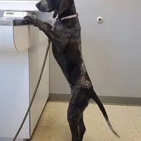 processed/1ecd54a3-1447-4b20-a6ab-5ca5e5909c3a/facility/2f8e5306-bb12-43ee-91c0-9ed55be49da6