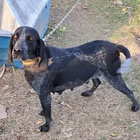 processed/1ecd54a3-1447-4b20-a6ab-5ca5e5909c3a/facility/2ff5e04d-61ae-43bb-a631-fffe03c2c6bd