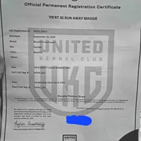 processed/1ecd54a3-1447-4b20-a6ab-5ca5e5909c3a/facility/30c733a1-3f24-48f4-813b-bca4f721dc13