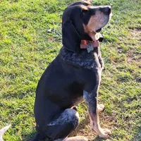 processed/1ecd54a3-1447-4b20-a6ab-5ca5e5909c3a/facility/50199c73-d408-4e02-b3ee-17a9f0d091d5