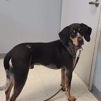 processed/1ecd54a3-1447-4b20-a6ab-5ca5e5909c3a/facility/aba3c4b3-0600-483e-8c22-92c73b71add3