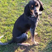 processed/1ecd54a3-1447-4b20-a6ab-5ca5e5909c3a/facility/d38fb84c-58b1-4aac-8f17-d53082e4f215