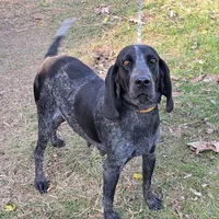 processed/1ecd54a3-1447-4b20-a6ab-5ca5e5909c3a/facility/d8bfd33b-a9f3-47f5-a0fe-b8bb80912ce2