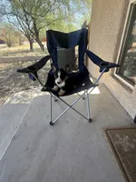 Roxi, a female Pembroke Welsh Corgi for sale in Tucson, AZ – 1 of 6