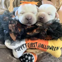 processed/1ed48571-6ea4-4983-9708-716483f132fd/facility/1dc9d0b1-a1f1-426d-843b-9a687afb127d