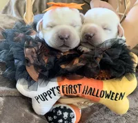 processed/1ed48571-6ea4-4983-9708-716483f132fd/facility/1dc9d0b1-a1f1-426d-843b-9a687afb127d