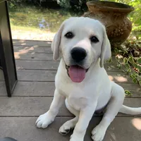 processed/1ed48571-6ea4-4983-9708-716483f132fd/facility/241607d0-a164-4f49-b662-0c646dd6c200