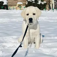 processed/1ed48571-6ea4-4983-9708-716483f132fd/facility/5e704ac0-1c3d-42ab-8544-5b7bb0e5e76c