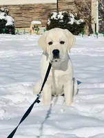 processed/1ed48571-6ea4-4983-9708-716483f132fd/facility/5e704ac0-1c3d-42ab-8544-5b7bb0e5e76c